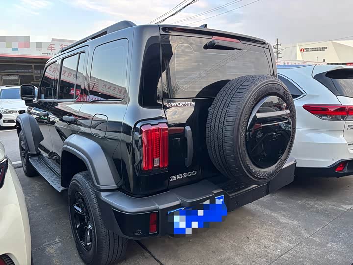 Фото 4 - Tank 300