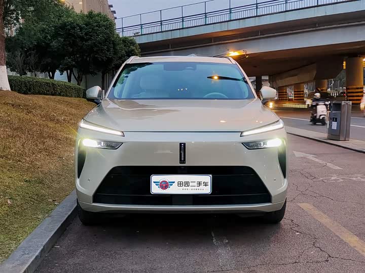 Фото 2 - Wey Lanshan