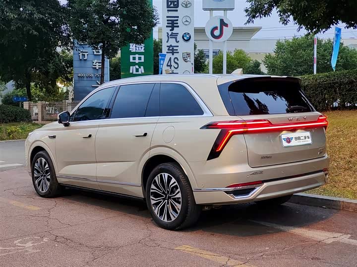 Фото 4 - Wey Lanshan