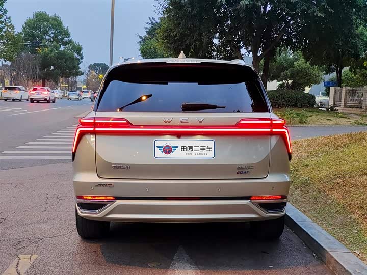 Фото 5 - Wey Lanshan