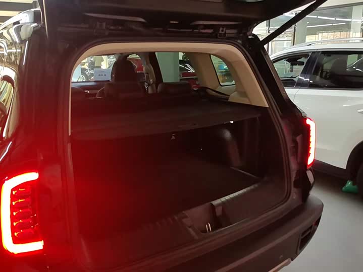 Фото 4 - Haval Dargo