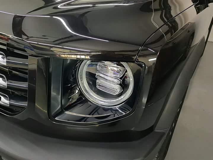 Фото 5 - Haval Dargo