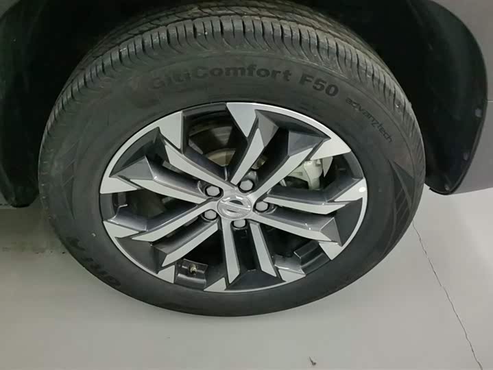 Фото 6 - Haval Dargo