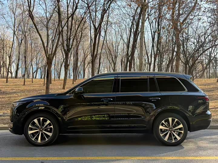 Фото 4 - LiXiang One