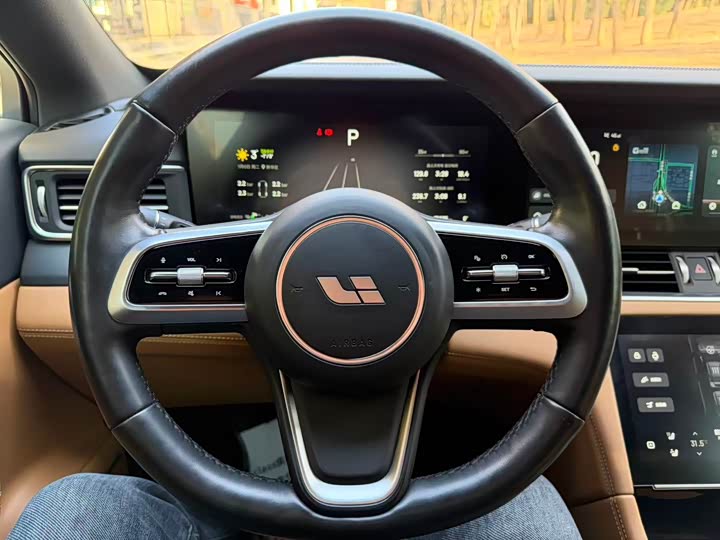 Фото 6 - LiXiang One