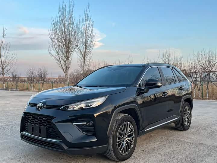 Фото 2 - Toyota Wildlander