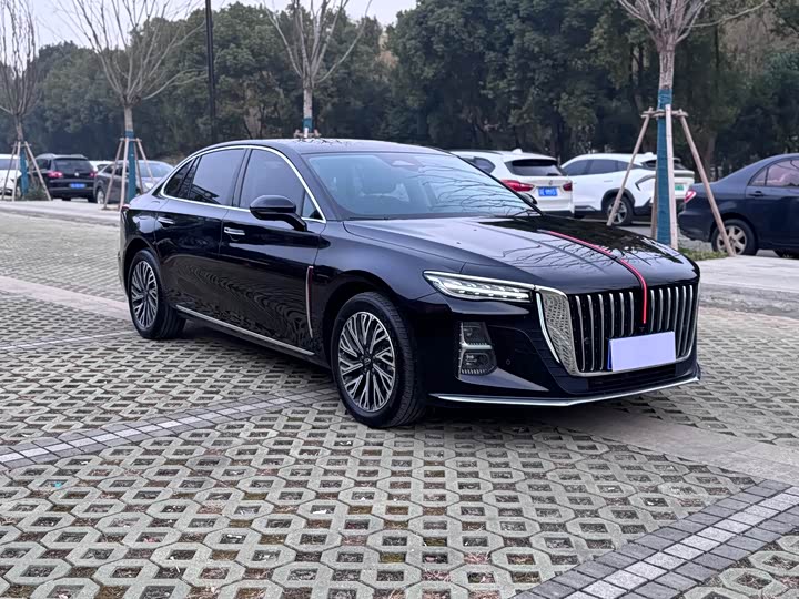 Фото 3 - Hongqi H5