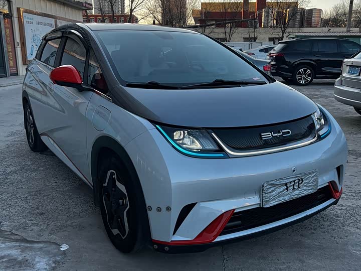 Фото 2 - BYD Dolphin