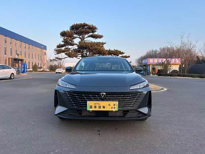 Фото 2 - Changan Eado EV