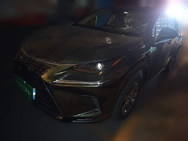 Фото 1 - Lexus NX