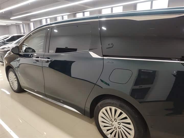 Фото 5 - Buick GL8 Century