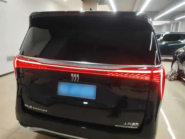 Фото 6 - Buick GL8 Century