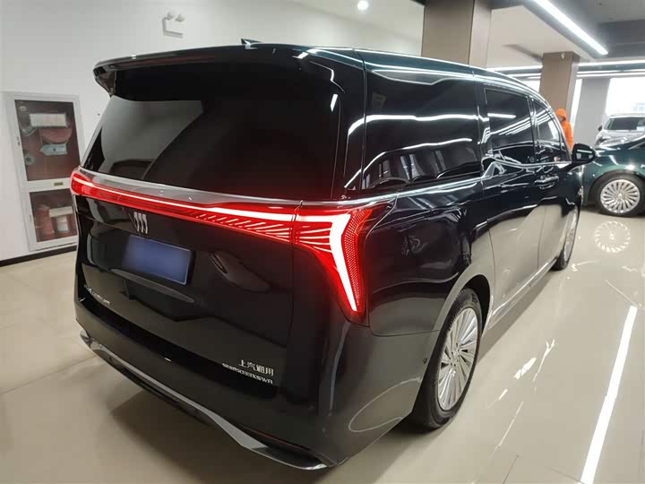 Фото 7 - Buick GL8 Century