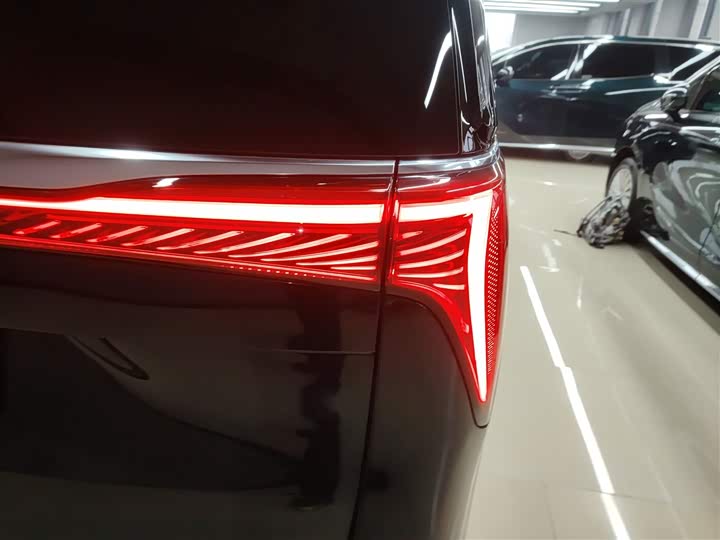 Фото 8 - Buick GL8 Century