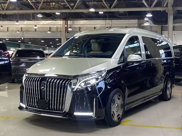 Фото 1 - Mercedes-Benz V-Class