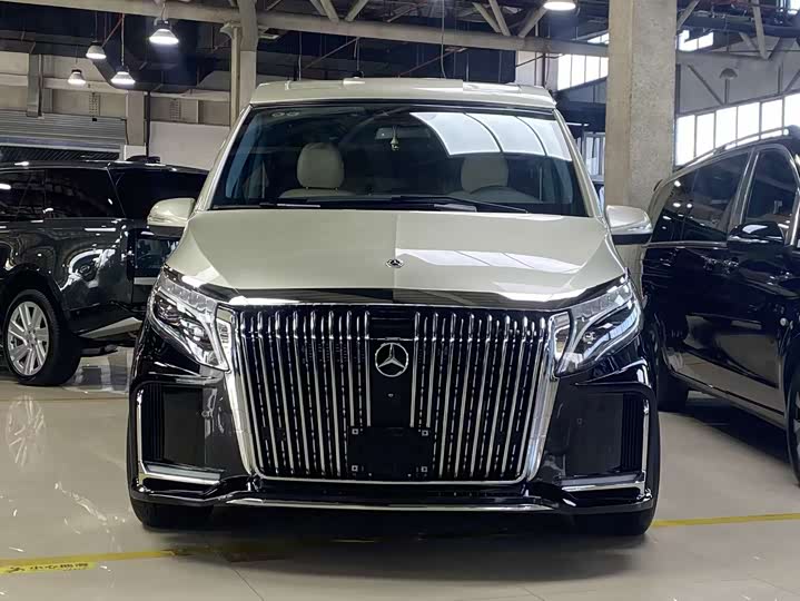 Фото 2 - Mercedes-Benz V-Class