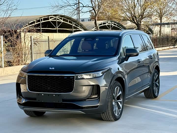 Фото 1 - LiXiang One