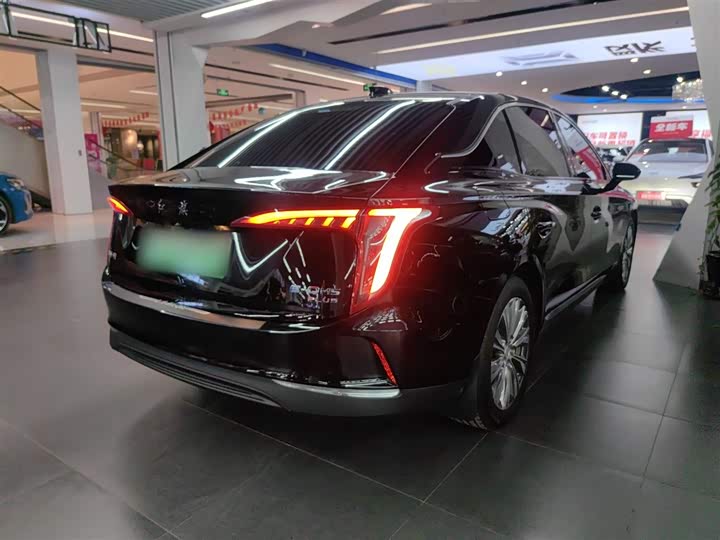 Фото 7 - Hongqi E-QM5