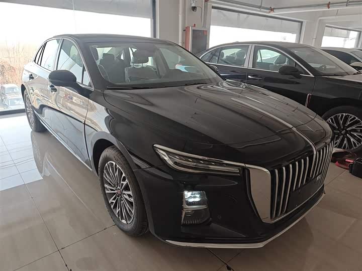 Фото 4 - Hongqi H5