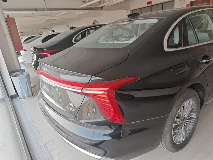 Фото 6 - Hongqi H5