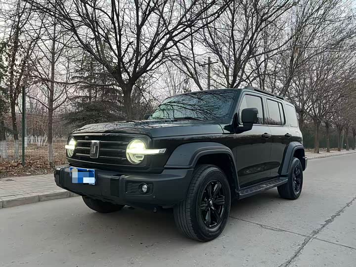 Фото 1 - Tank 300