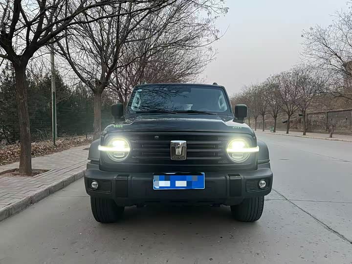 Фото 2 - Tank 300