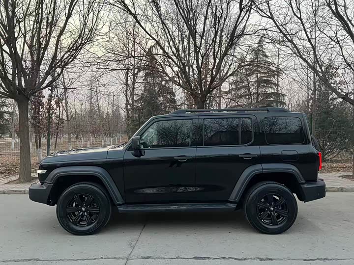 Фото 4 - Tank 300