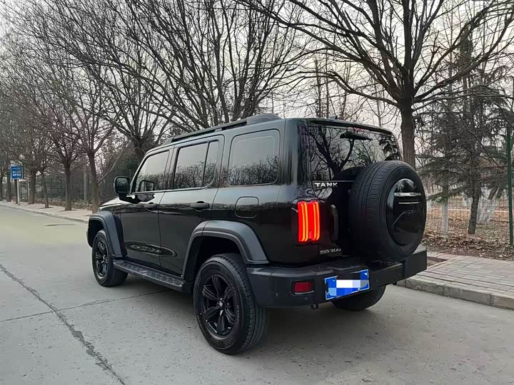 Фото 5 - Tank 300