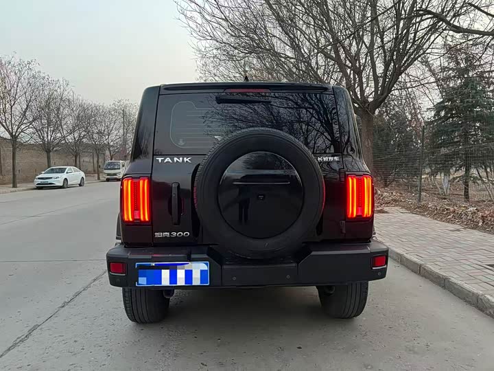 Фото 6 - Tank 300