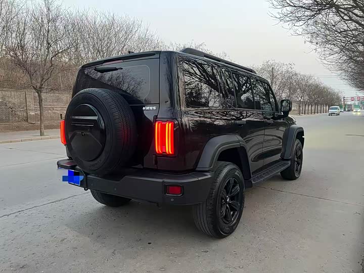 Фото 7 - Tank 300