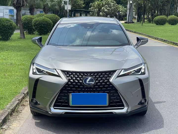 Фото 2 - Lexus UX Hybrid