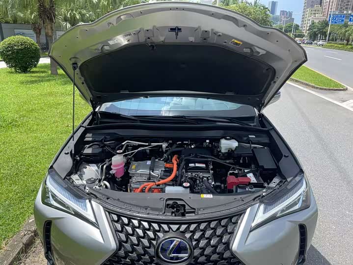 Фото 9 - Lexus UX Hybrid