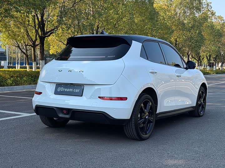 Фото 5 - Ora Good Cat (03)