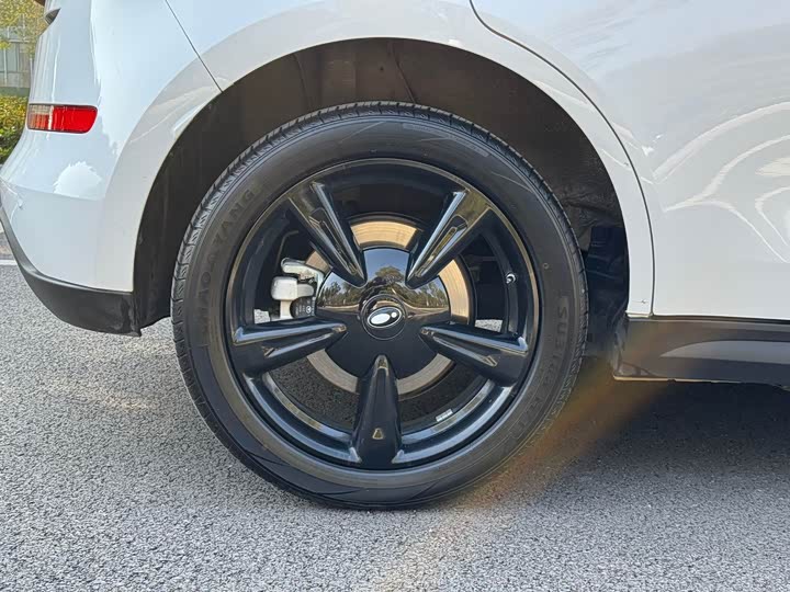 Фото 7 - Ora Good Cat (03)