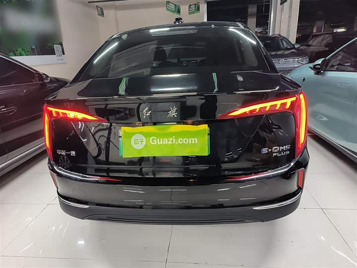 Фото 6 - Hongqi E-QM5