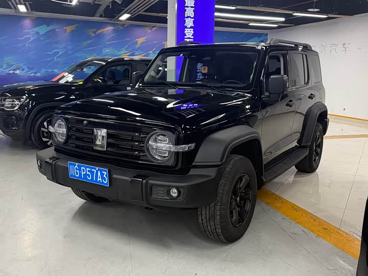 Фото 3 - Tank 300