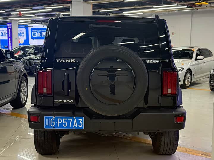 Фото 9 - Tank 300