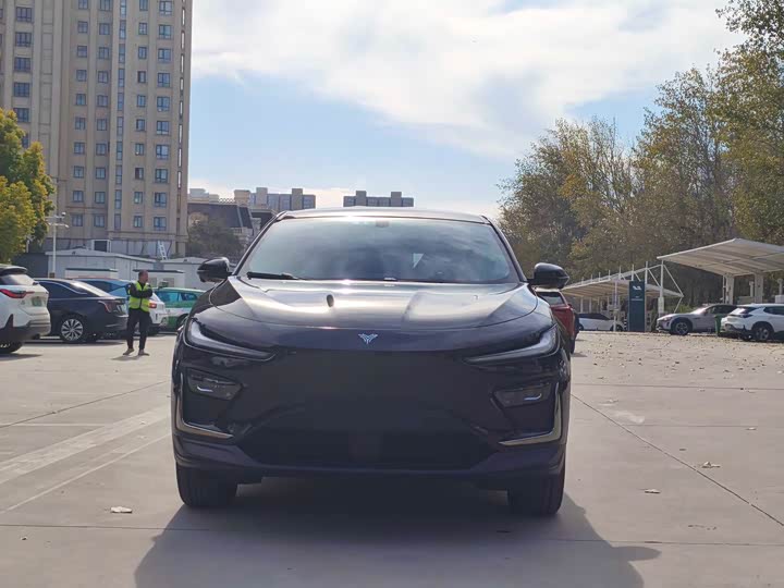 Фото 2 - Hozon X