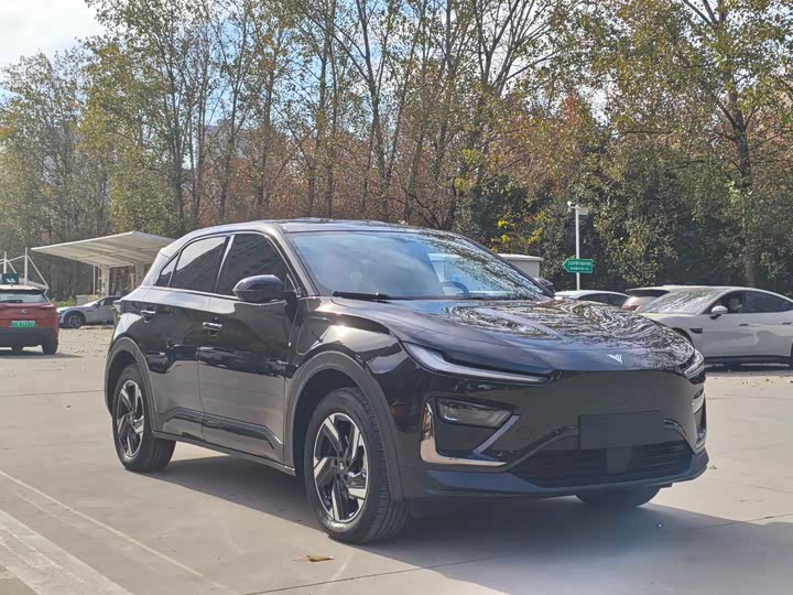 Фото 3 - Hozon X