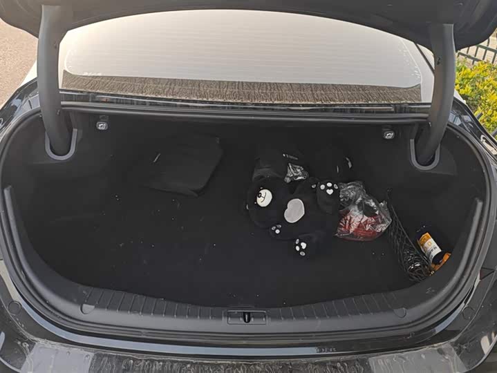 Фото 4 - Hongqi H5