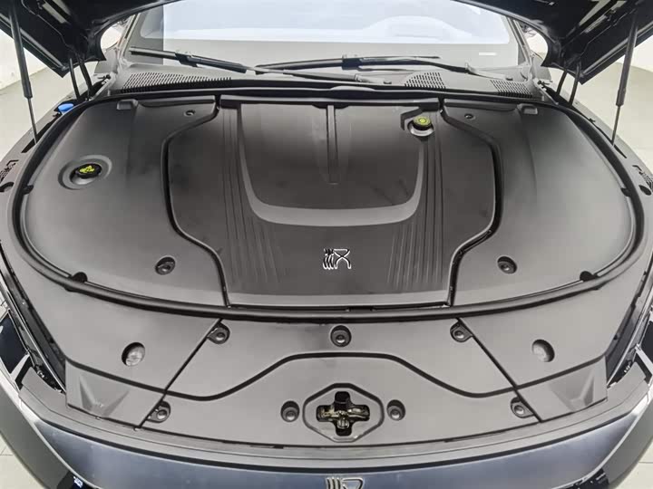 Фото 6 - BYD Han