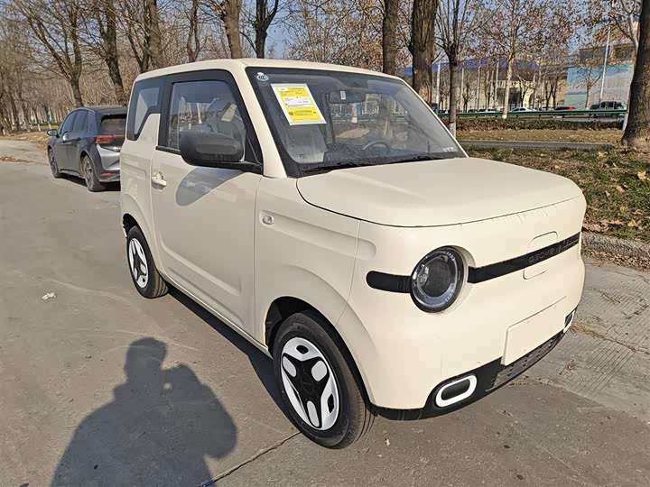 Фото 4 - Geely Galaxy Panda Mini