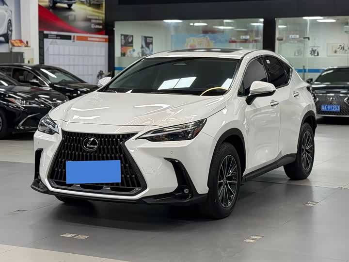 Фото 1 - Lexus NX