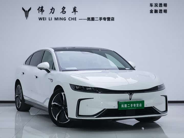 Фото 3 - Voyah Passion