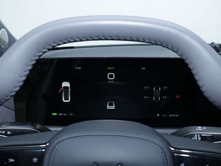 Фото 6 - Voyah Passion