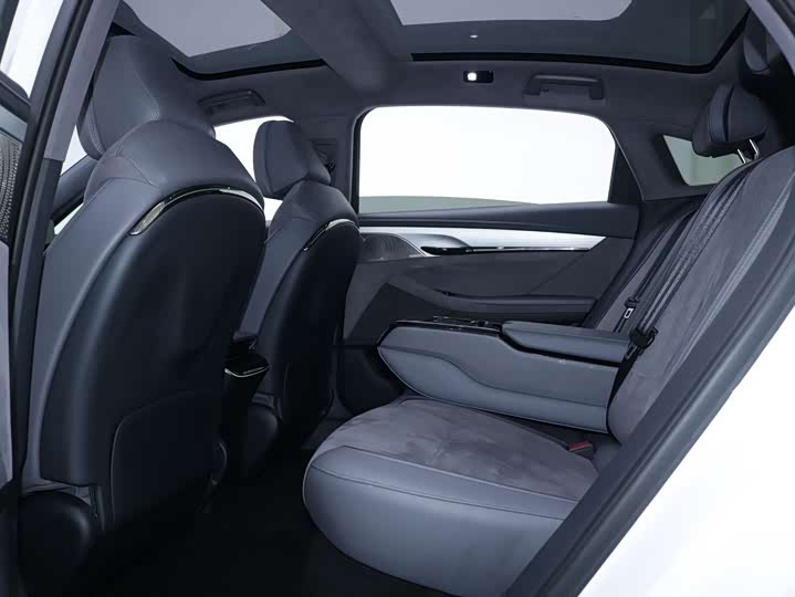 Фото 7 - Voyah Passion