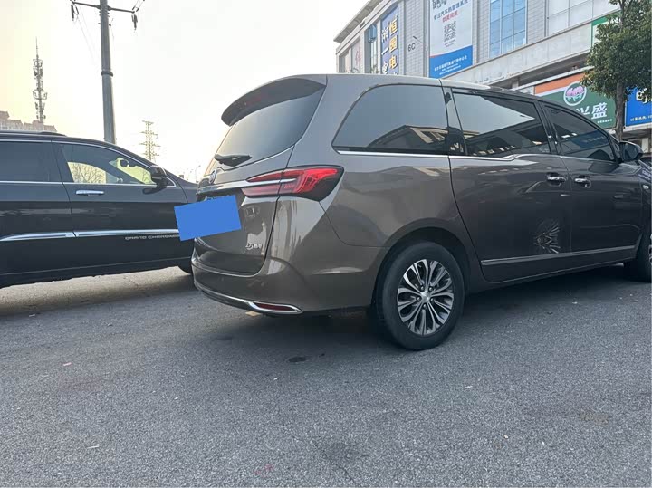 Фото 5 - Buick GL8 ES