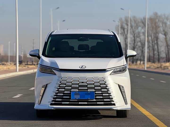 Фото 2 - Lexus LM