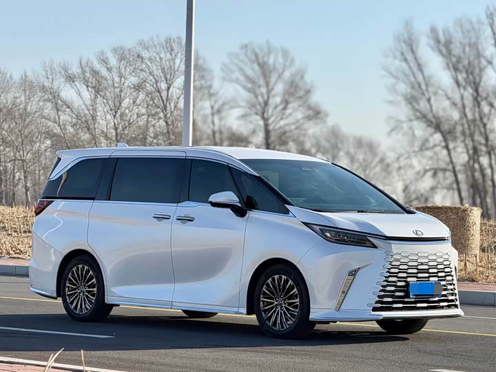 Фото 3 - Lexus LM