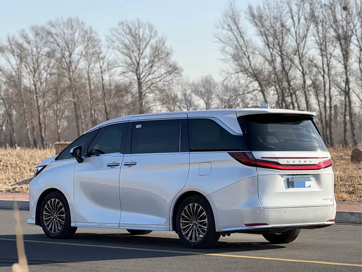 Фото 4 - Lexus LM